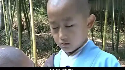 少林高僧深山赶路,却遭到一群武林人士包围,这下可有好戏了