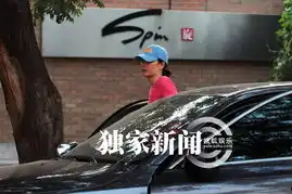 王菲粉t恤棒球帽现身犯迷糊不识自家座驾