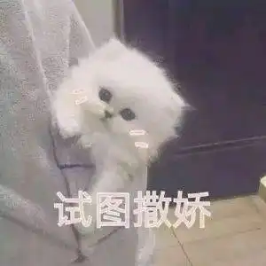 台风消失,新一轮魔法湿冷准备上线广东人我