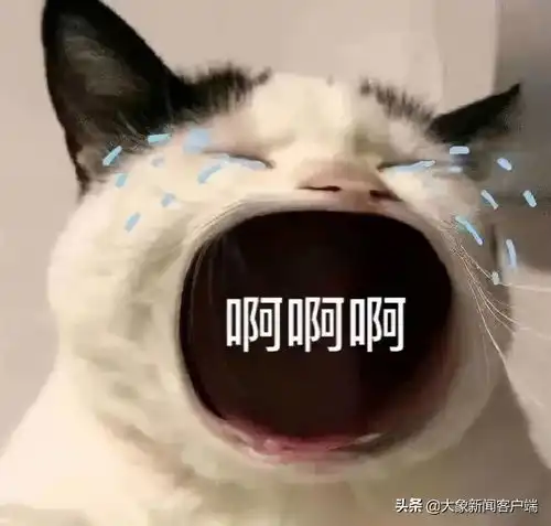 活久见舞千年剧组竟然把课本中的杜甫找来了