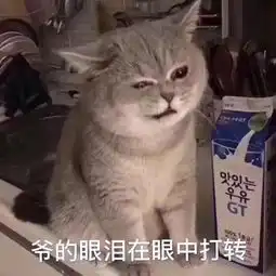 为买月饼,网友在光明邨苦排11小时目睹黄牛插队垄断争吵,令人发指