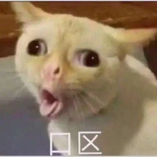家人真是可怕的物种