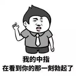 有时候我想优雅的骂个脏话