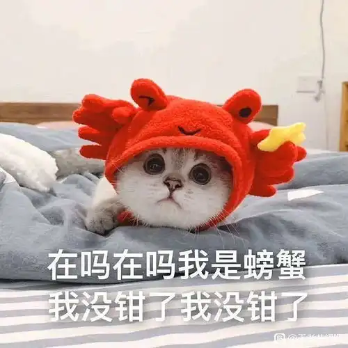 哔哩哔哩专栏
