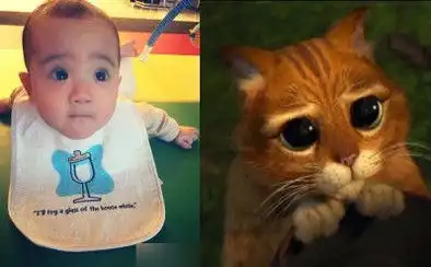 梁静茹老公晒儿子照萌翻网友撞脸穿靴子的猫