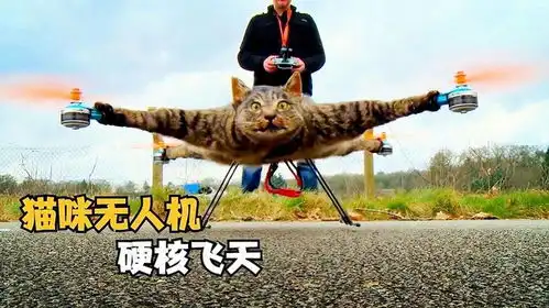 猫咪绑上无人机,飞起来会是什么效果猫咪的表情亮了