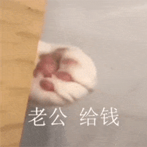 这表情包有毒,存到停不下来