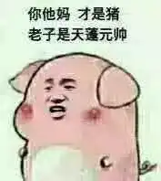 关于猪的卡通表情包乖巧的像只小猪仔