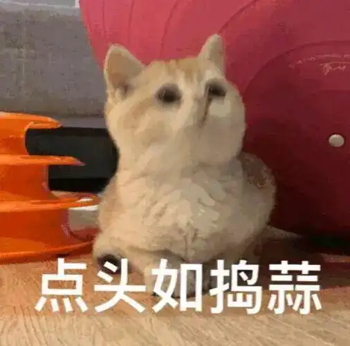 这也太狠了