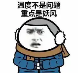 冷空气比双11包裹先到货株洲北风狂劲,气温跌至个位数