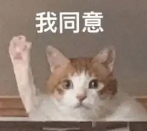 该不该在除夕夜表白
