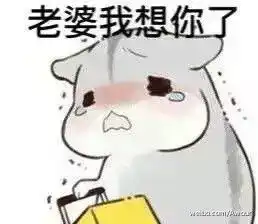 hamham仓鼠表情包下载ham仓鼠讨好老婆表情包9张超萌腾牛下载