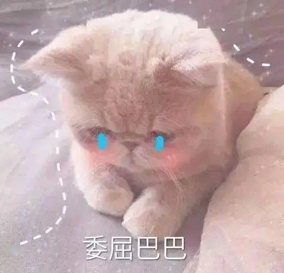 小朋友为穿上校服整个小脸都在使劲,不敢想象他坐下的瞬间