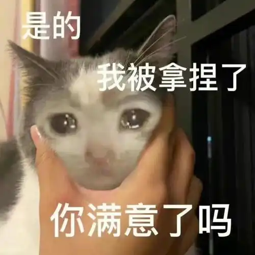 如何用表情包表达肯定