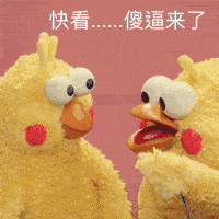 表情包鹦鹉兄弟黄金脆皮鸡