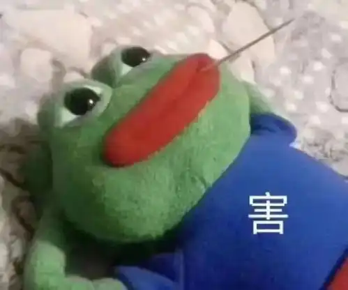 放假回家第一天,和鞭炮住在一起,把老家的房子烧了
