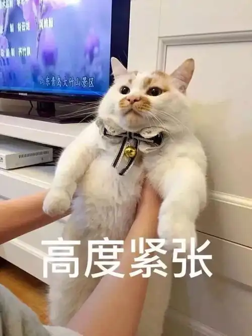 惨烈事发共和教练车被大货车追尾,屁股都没了...