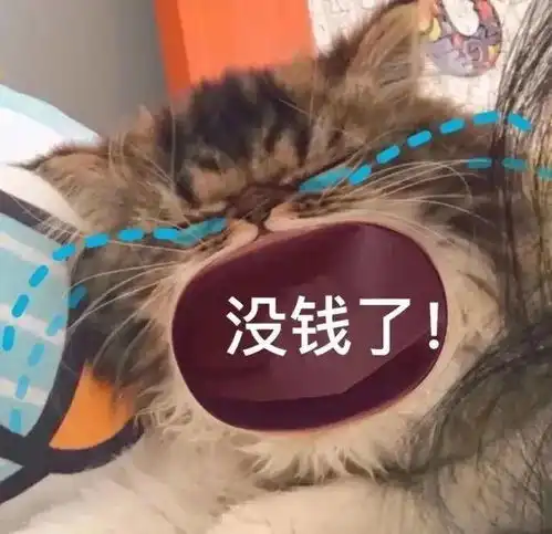 猫咪张大嘴哭表情包全集