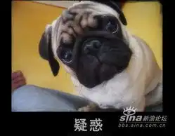 在江民社区捣乱的人,我已经知道你是谁了,请自重