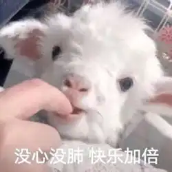 读博真的好容易丧