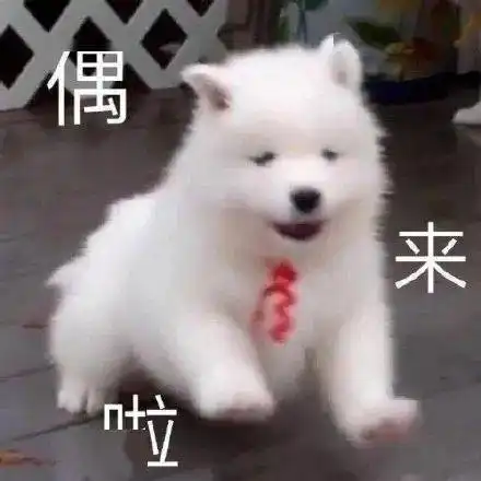 可爱表情包又更新了