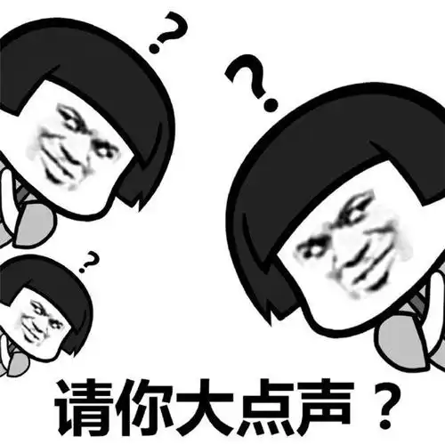 你说什么我听不见表情