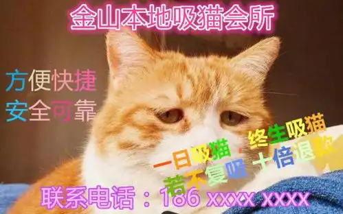 魔都惊现多处地下吸猫会所,视频流出......