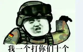 军迷圈那些趣图汉斯篇iii哔哩哔哩干杯bilibili
