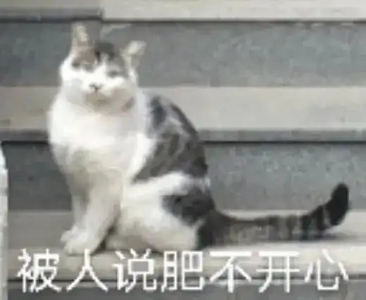 表情包我恋爱就三个要求