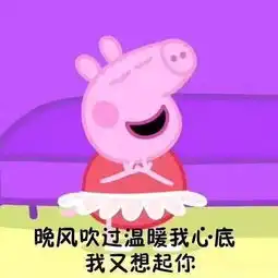 撩汉套路没错,男朋友就是我用表情包撩来的
