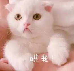 幽默笑话和阿黑送女儿去托管班报名