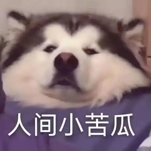 表情包l憨厚