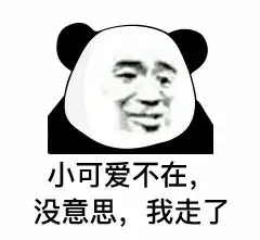 熊猫头表情包i输完密码就是自己人了