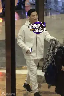 爸爸4安吉囧变表情包李亦航淘气上车顶