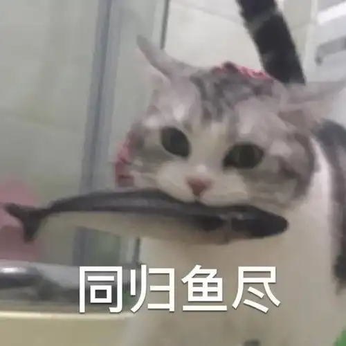 该嫁人了,你选择陈养鱼许放炮梁海王还是就地死亡