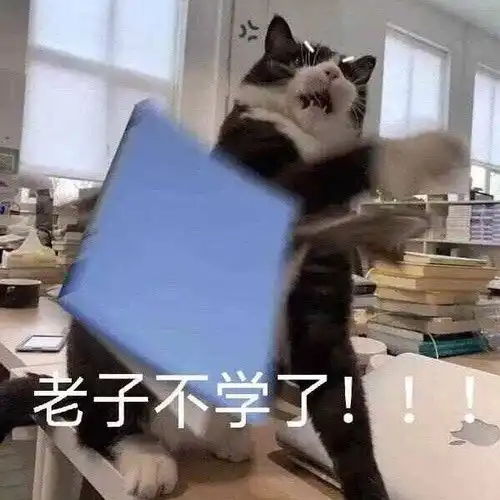 我的收藏