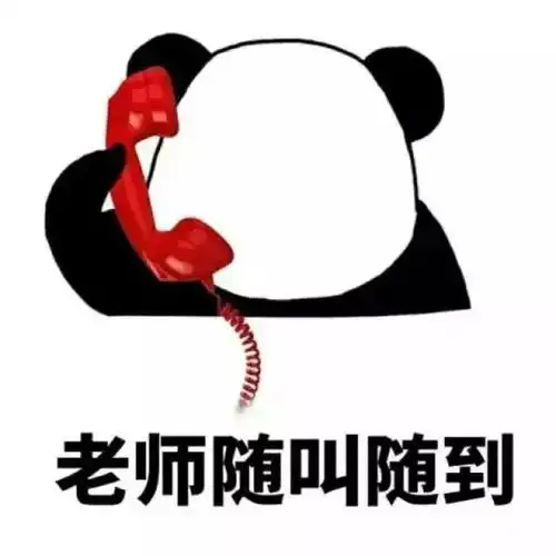 今天,我瞒着我的部长偷偷做了这套专属于她的表情包