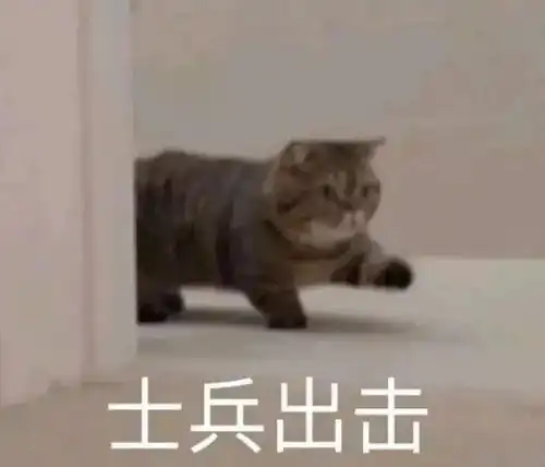 今夜暗sha未来影di有一起的吗