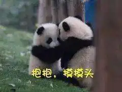 30个摸头杀表情包丨没事摸下头万事不用愁