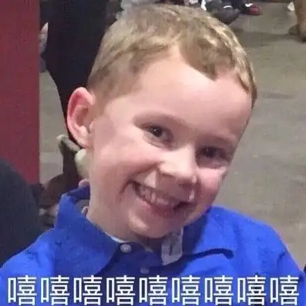 暑期回顾24支队伍,数百名师生,这个夏天他们乡遇精彩