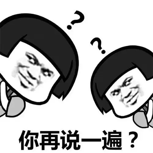 你说什么我听不见表情