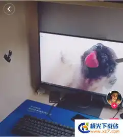 抖音小狗舔屏动态壁纸软件电脑版下载抖音电脑桌面小狗舔屏动态壁纸软件官网pc最新版极光下载站