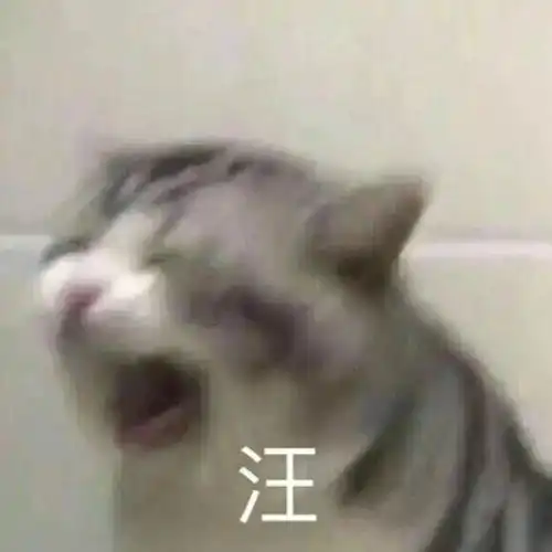 这些食补美容大法,骗了你多少年