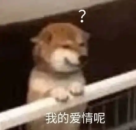 表情包萌犬来自单身狗的羡慕