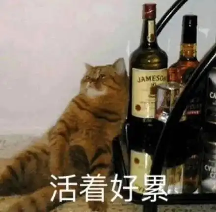 刚生完一年就被公开催二胎,这也太令人窒息了
