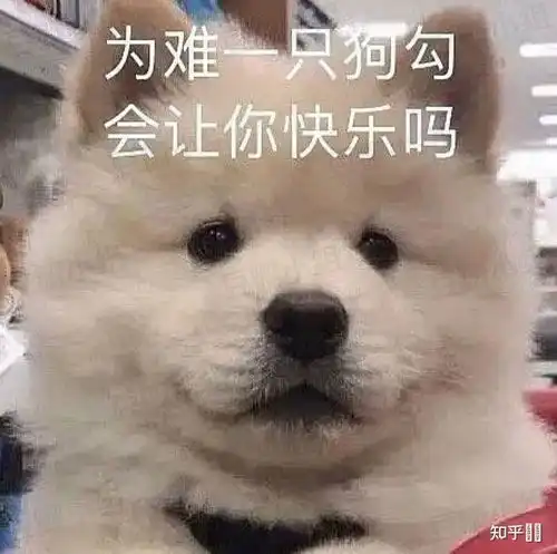 你见过最帅的高中男生长什么样