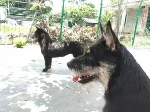 二栋美女姐姐给我起这名,大气