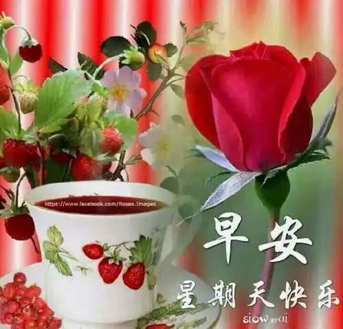 人活着,圈子不要太大,容下自己就好,早上好