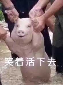 消失的中国土猪
