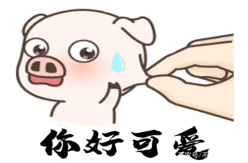 猪年春节搞笑动图表情包第一集12图